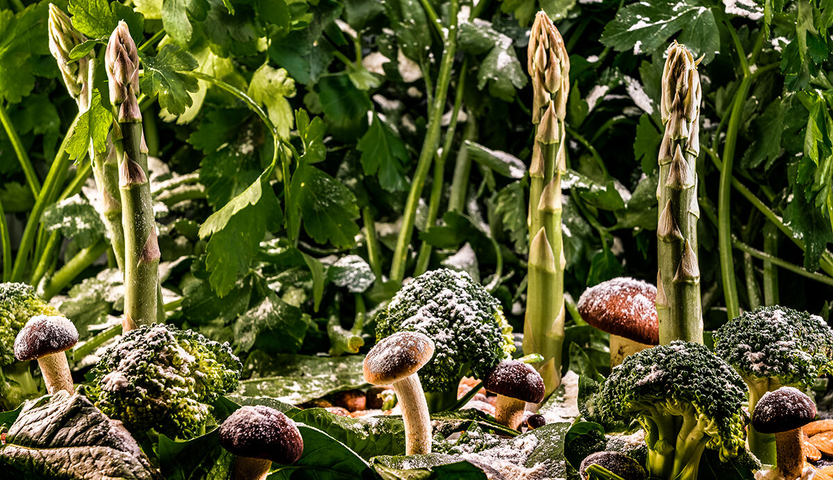 "Nevica, mondo mangione"