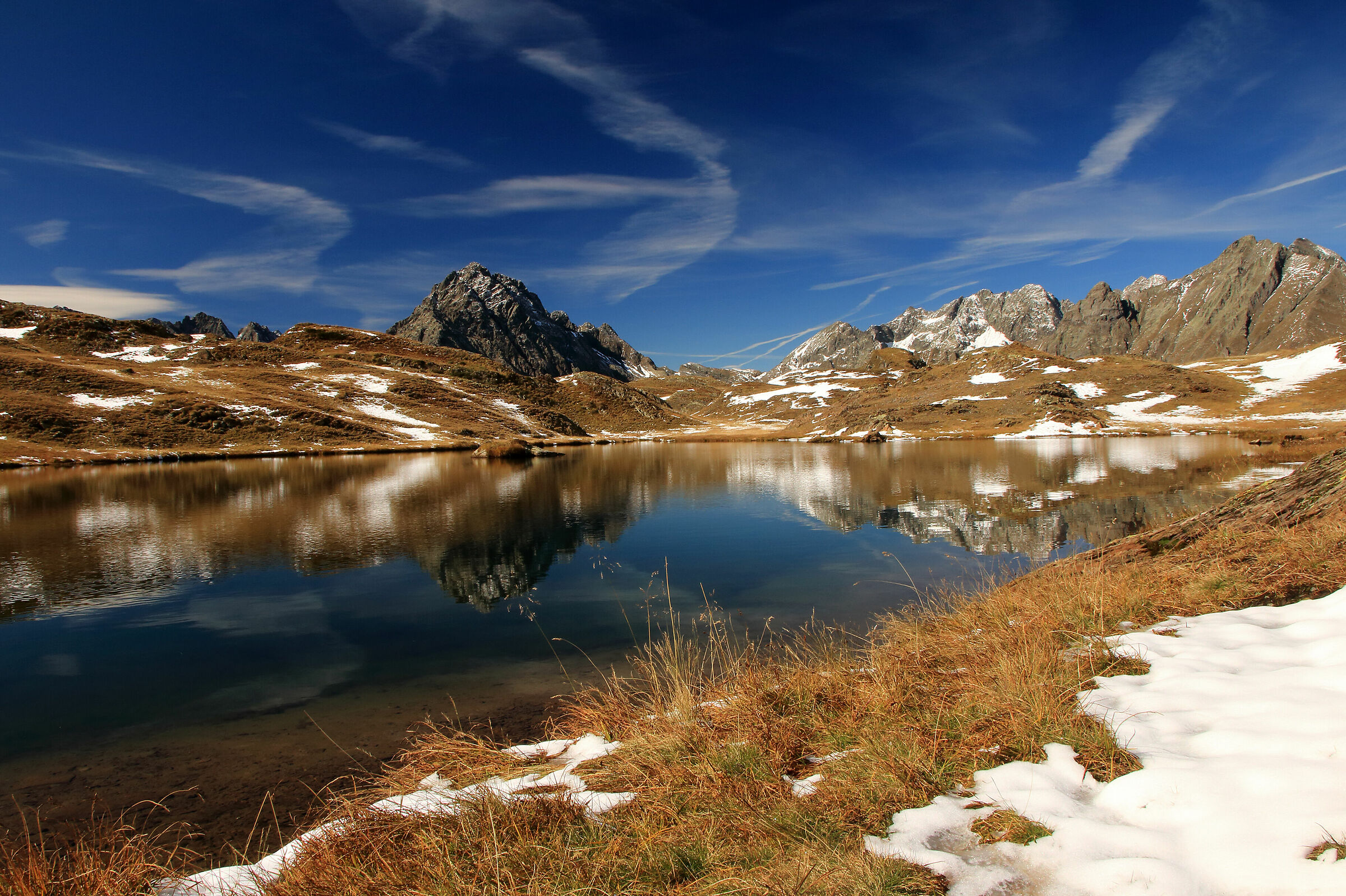 Cerviera con il Coca
