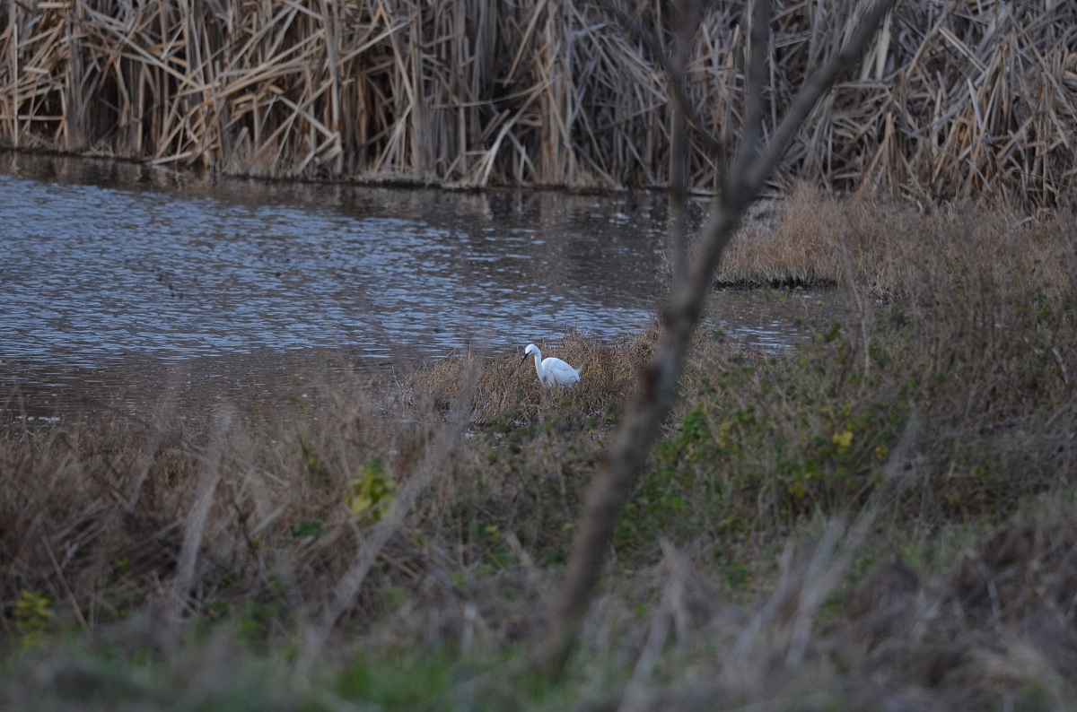 I know I've done wrong but I'm here to learn!