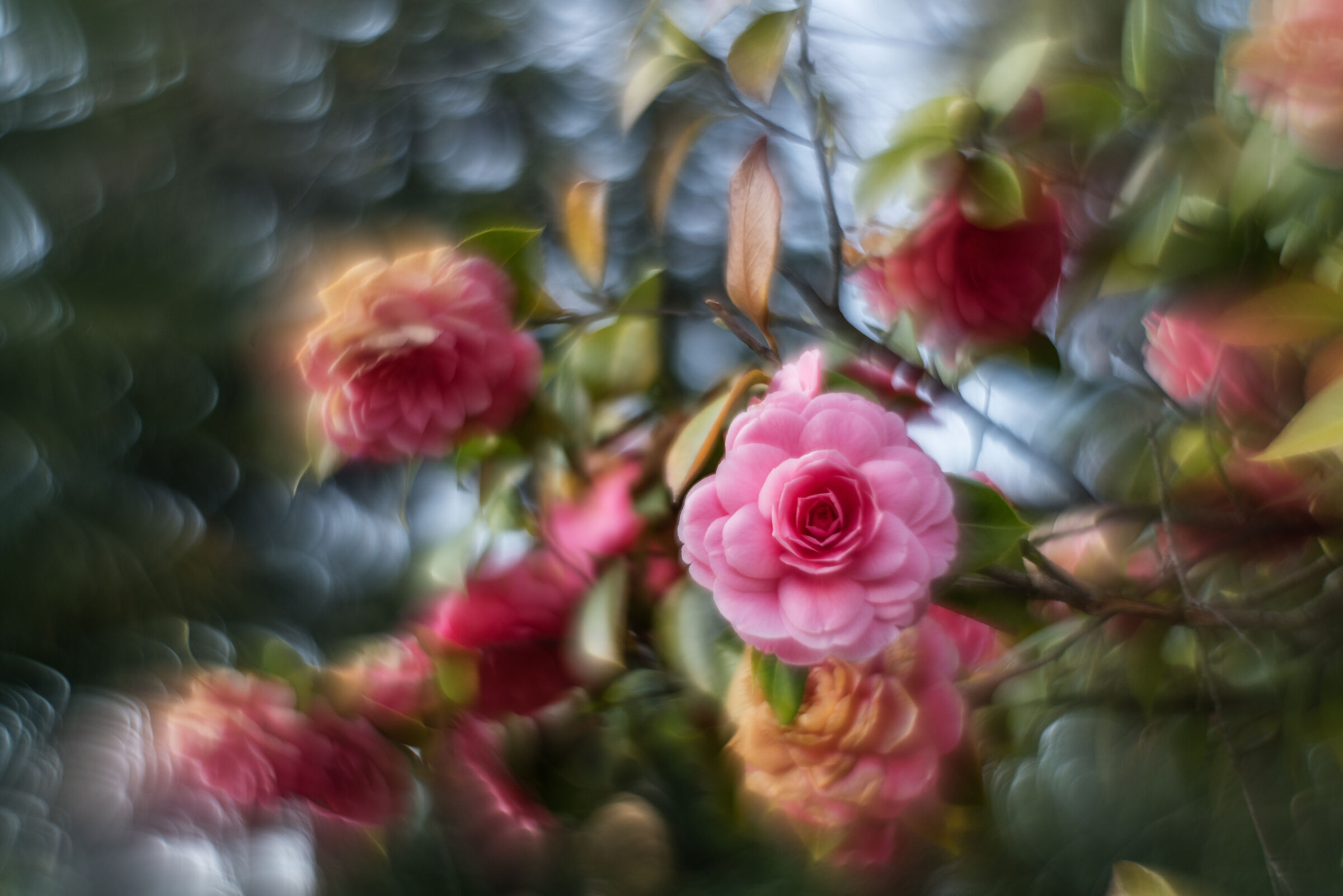 Helios 44-2 reversed