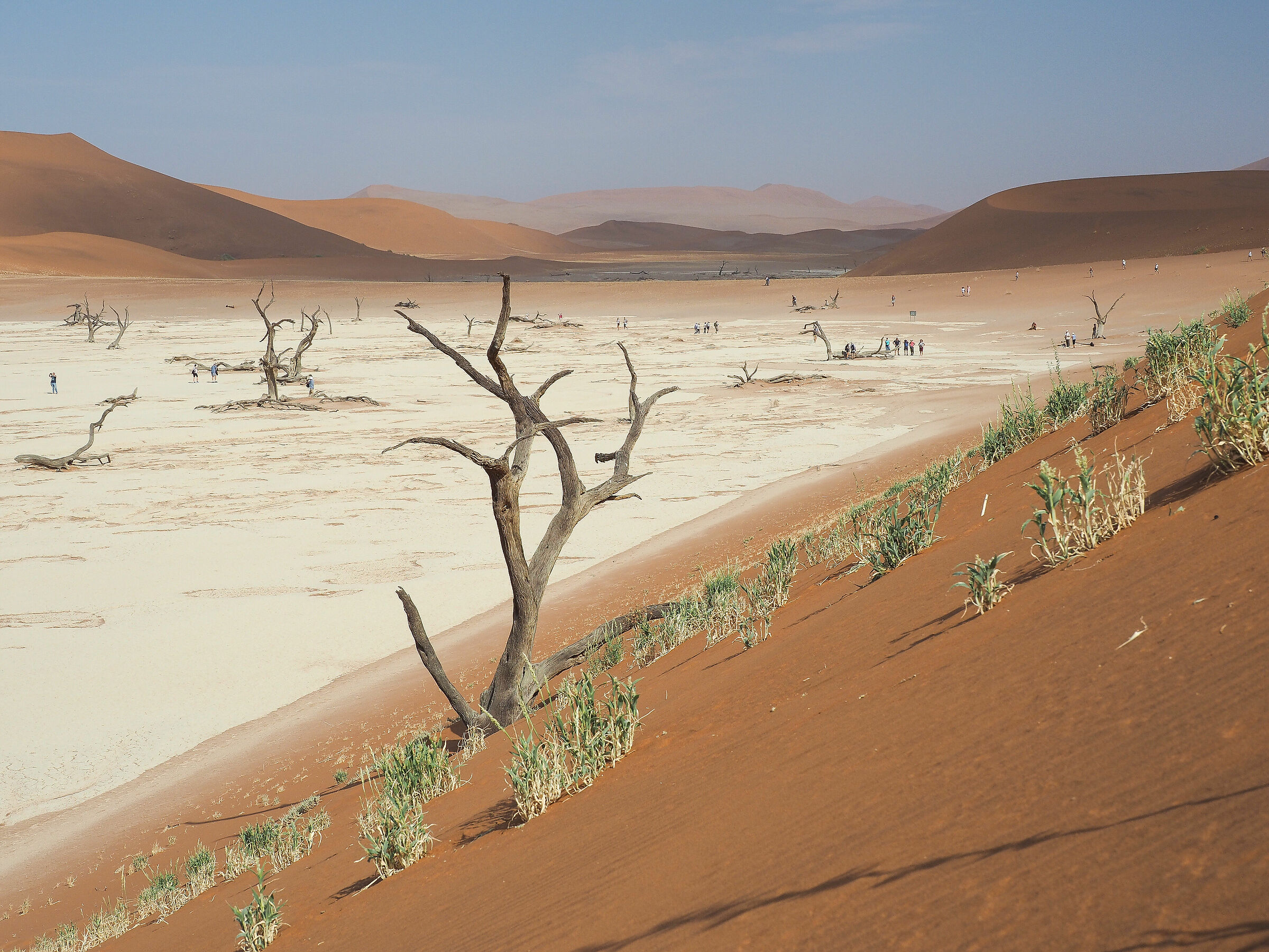 Dead Vlei