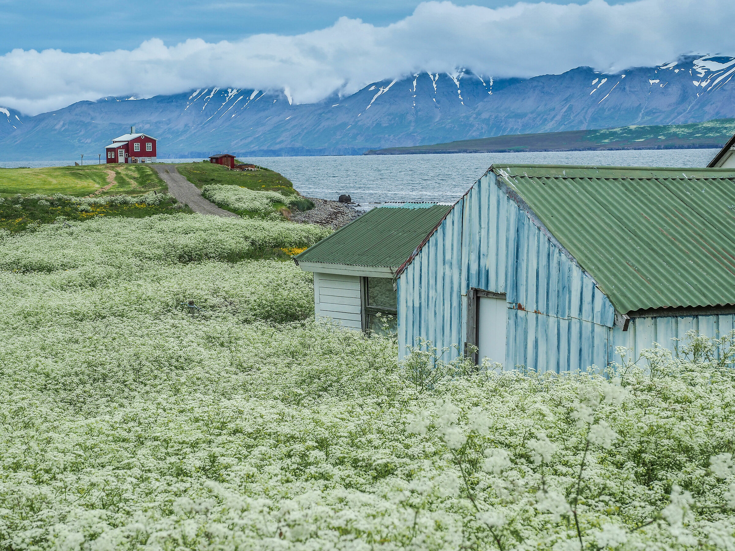 Icelandic landscape