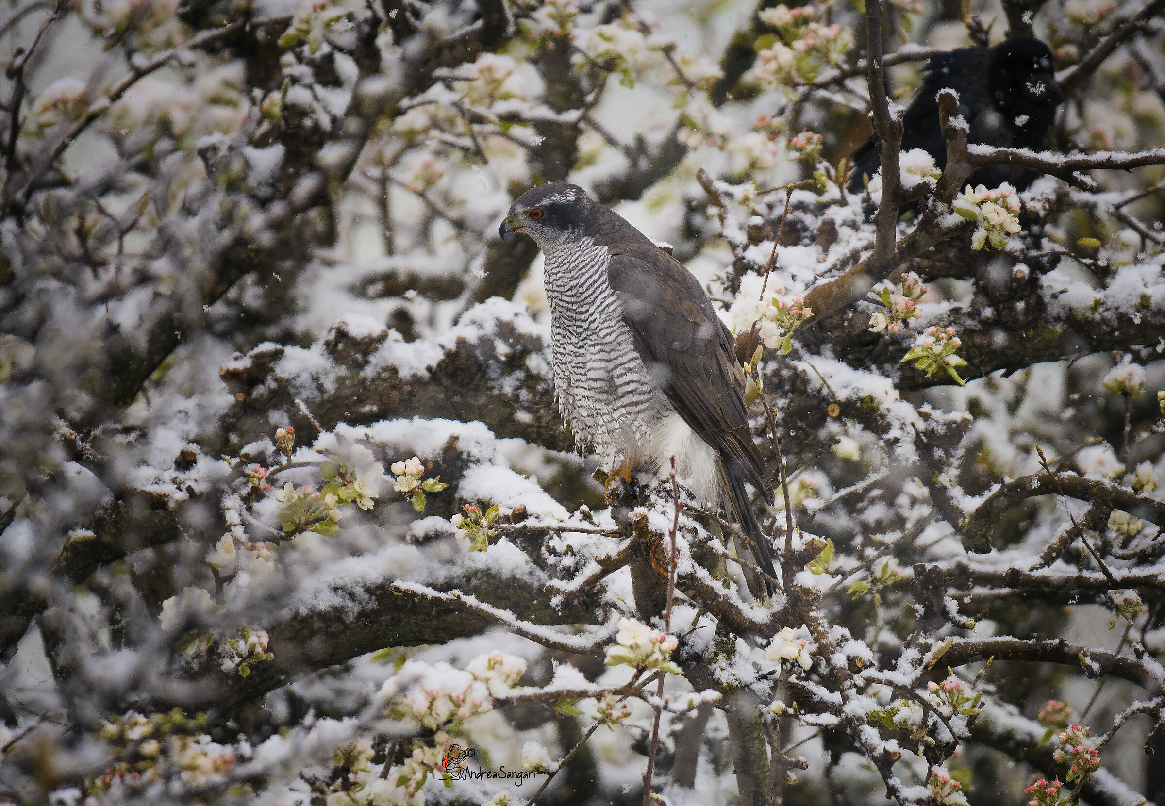 Surprises from home.....