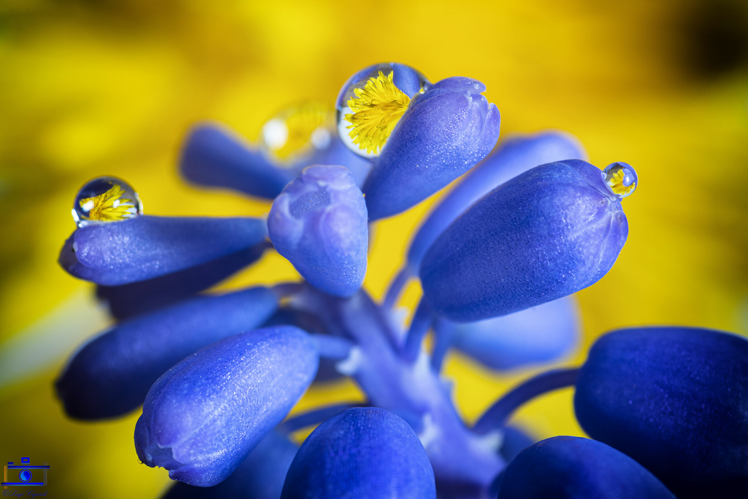 To pass the time #iorestoacasa