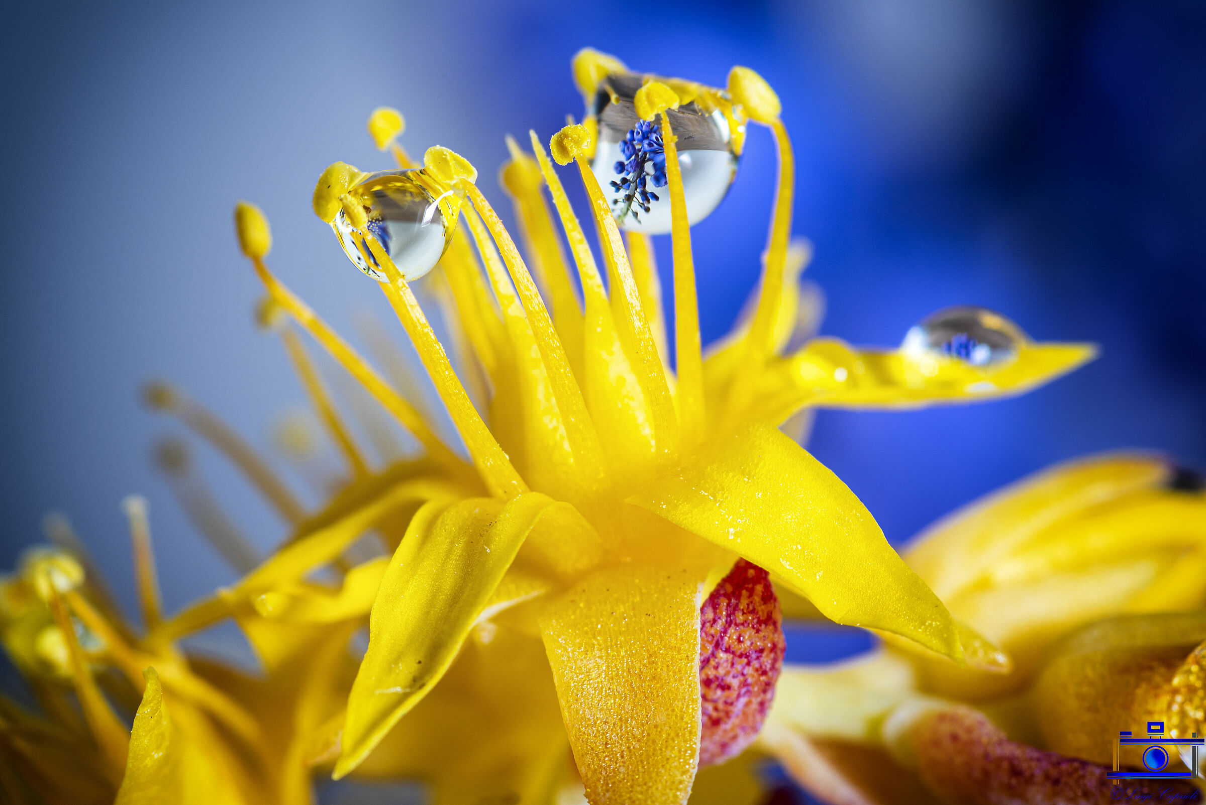 To pass the time #iorestoacasa