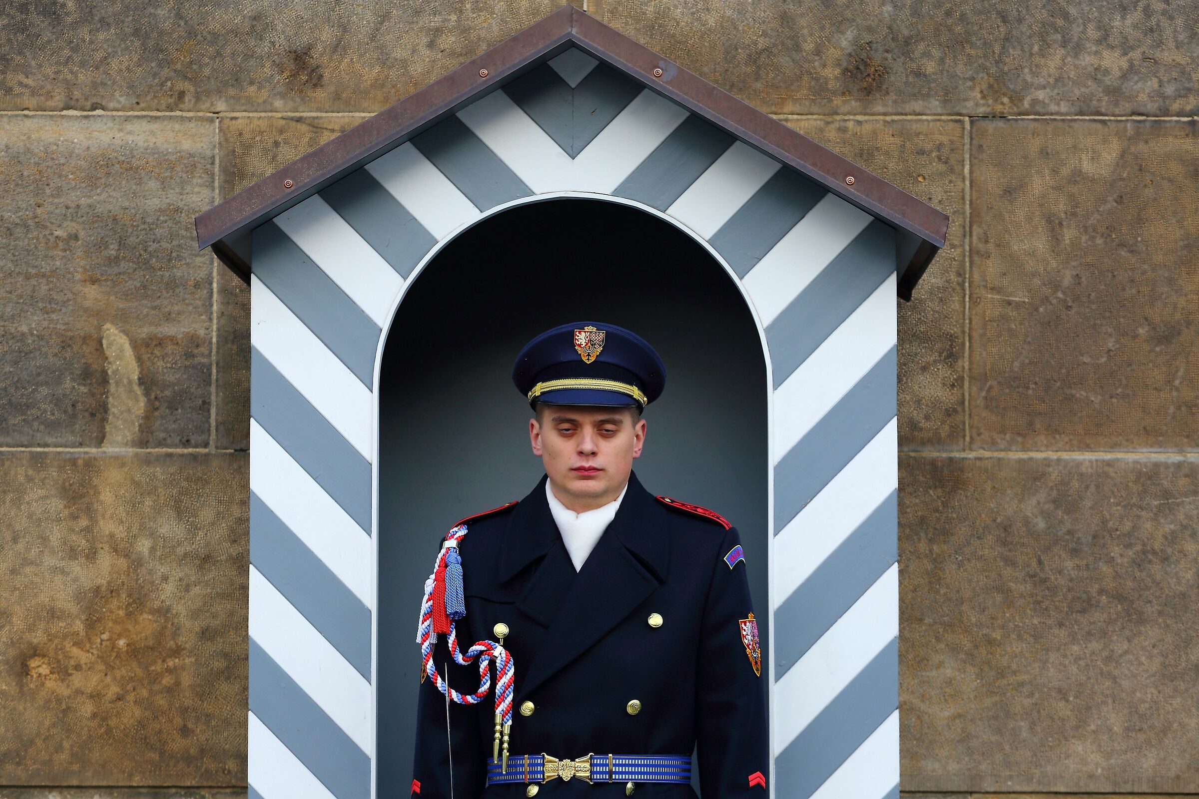 Guard at the Presidential Palace - Nothing escapes!!