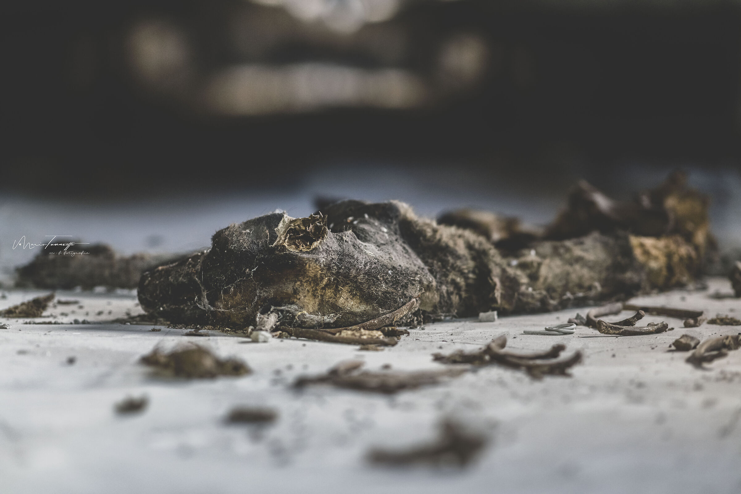 Chernobyl Exclusion Zone Pripyat