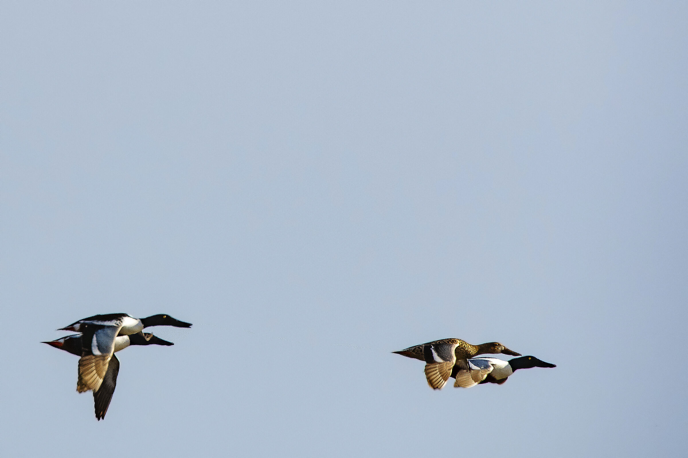Training in-flight patrol
