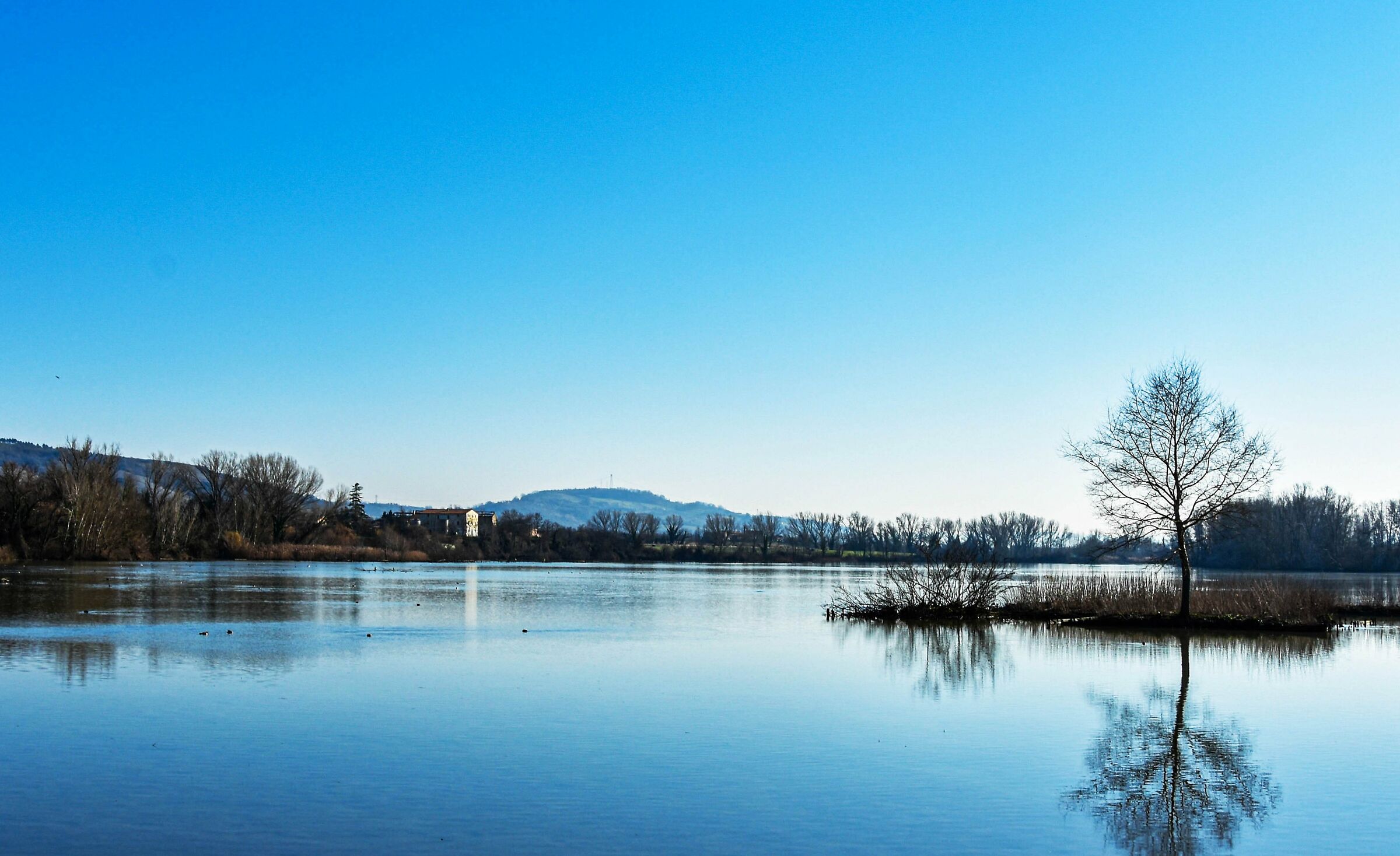 Mattinata all'Oasi WWF dopo una fitta nebbia