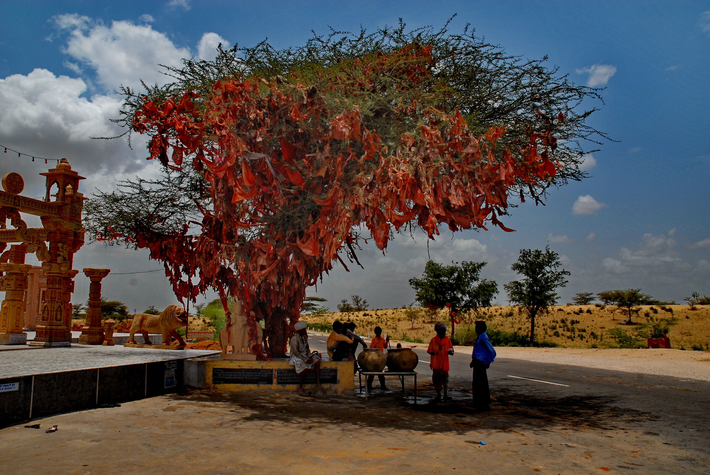 india alla ricerca dell'ombra