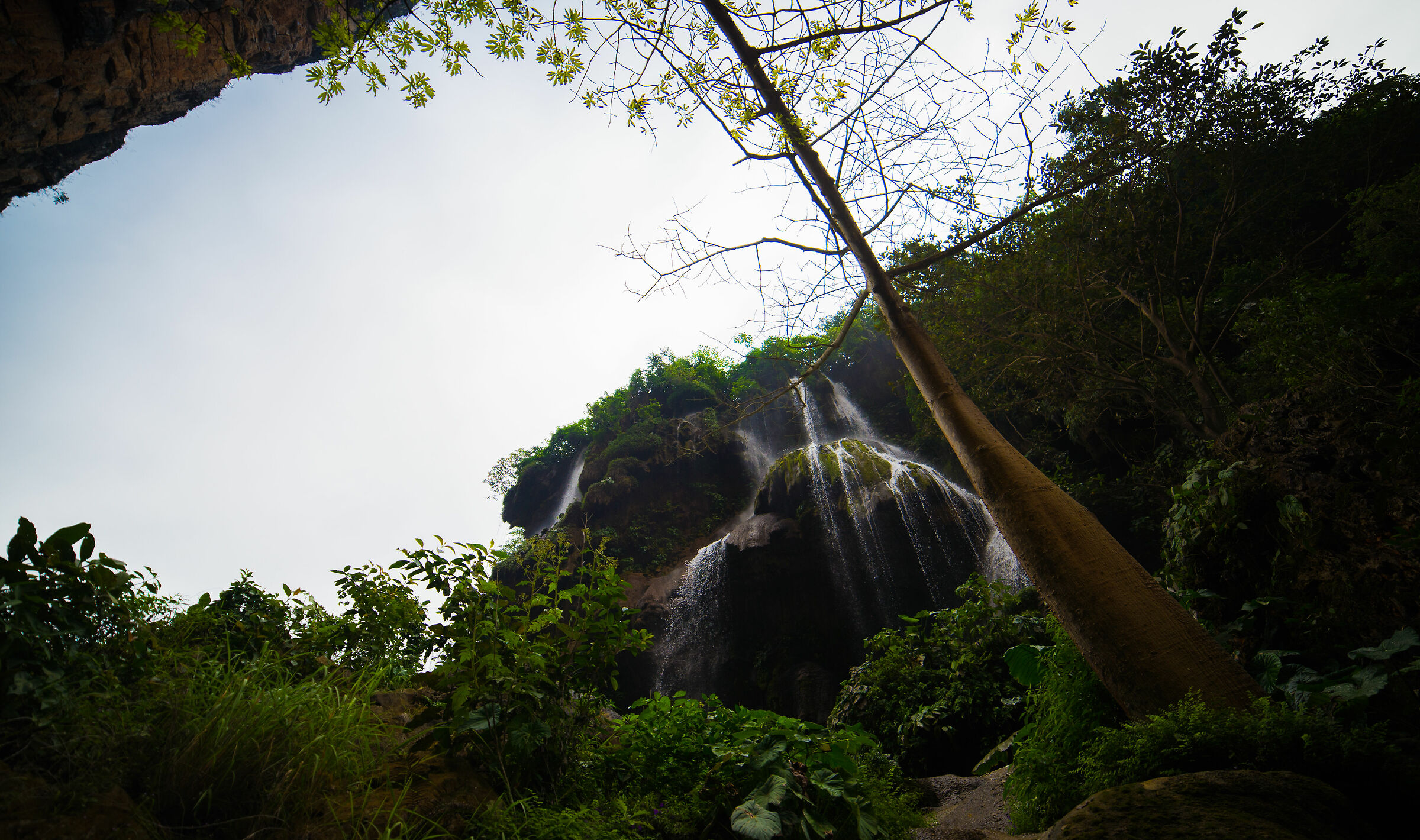 Aguacero waterfall with tree
