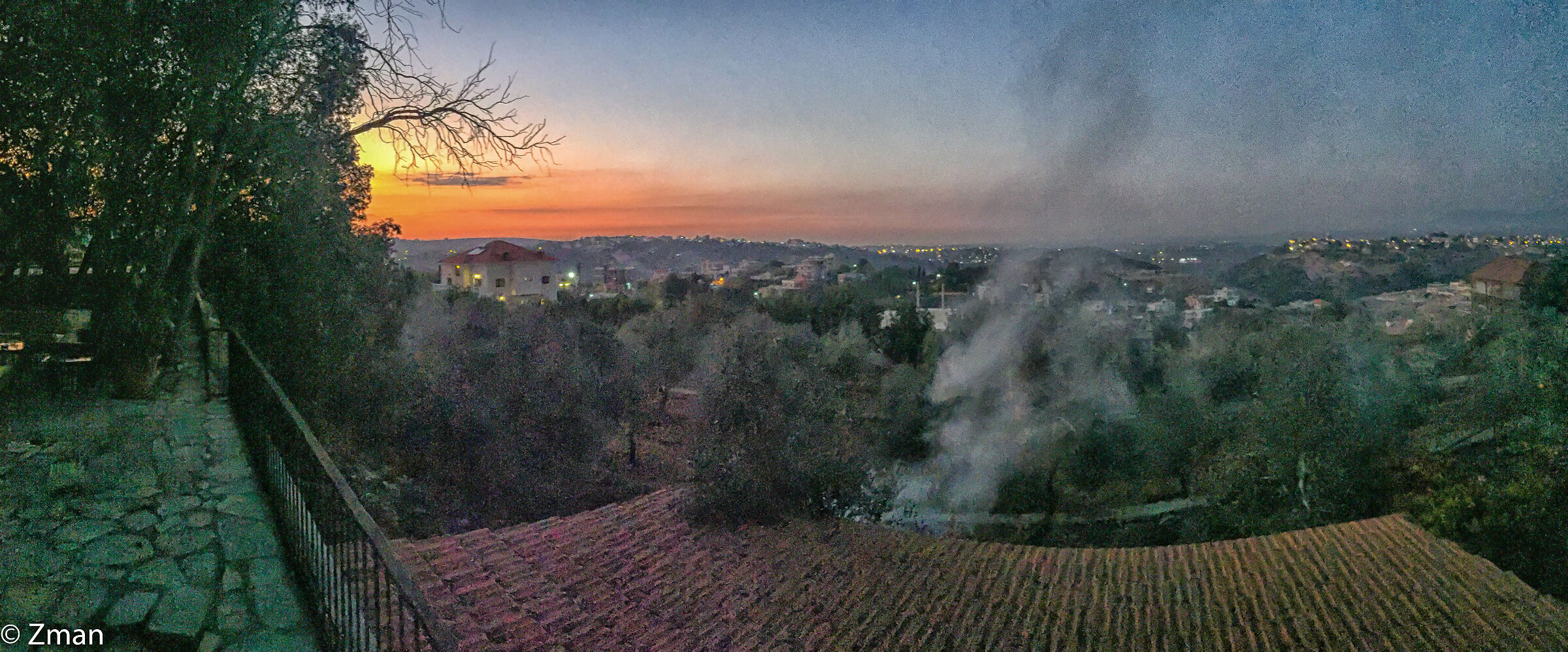 The Field of Olive Trees at Sunset