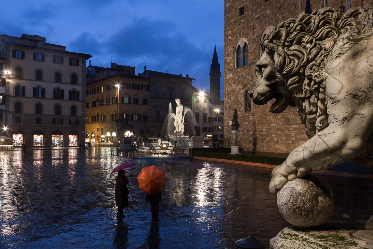 La pioggia e il leone ...