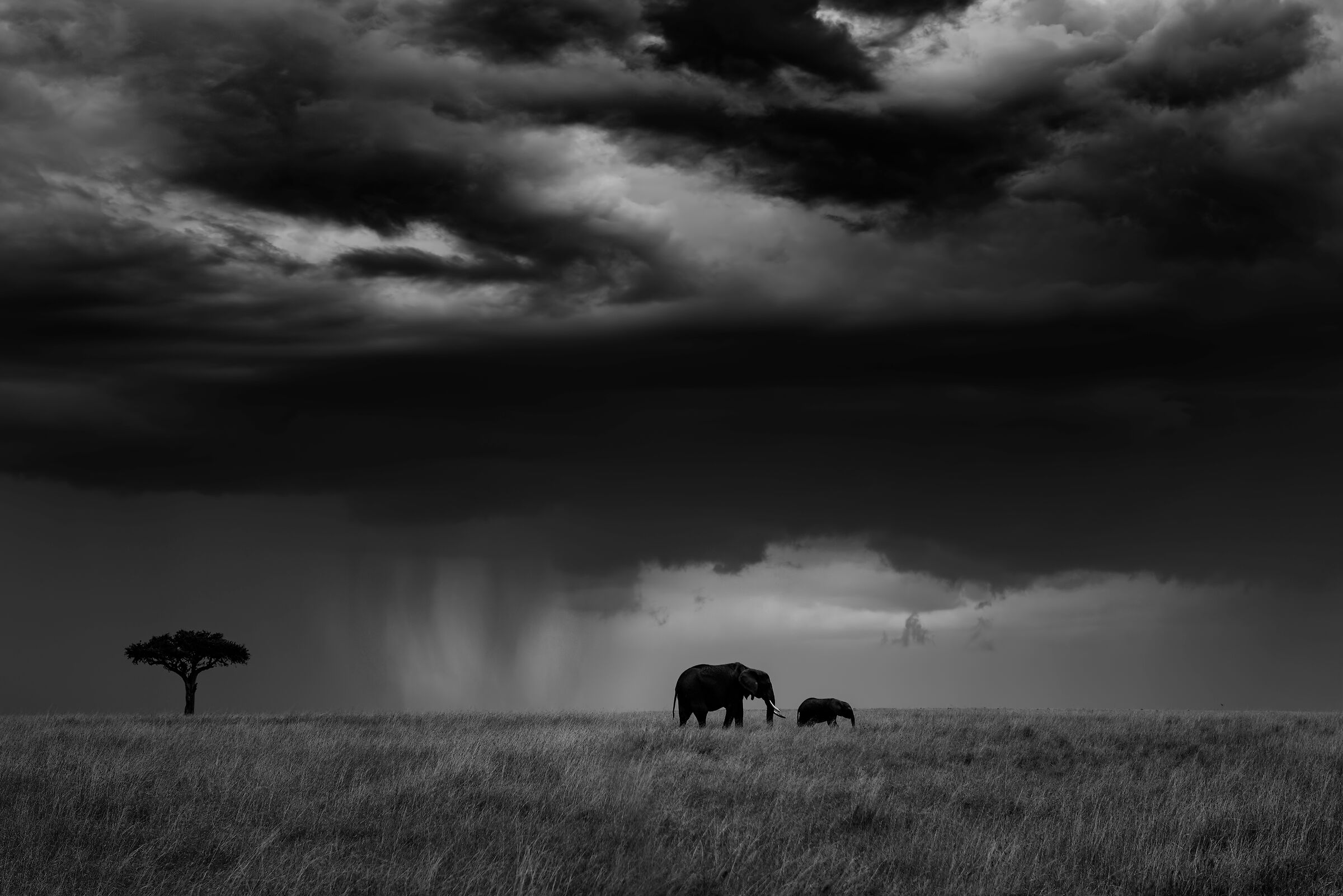 Thunderstorm in the savannah