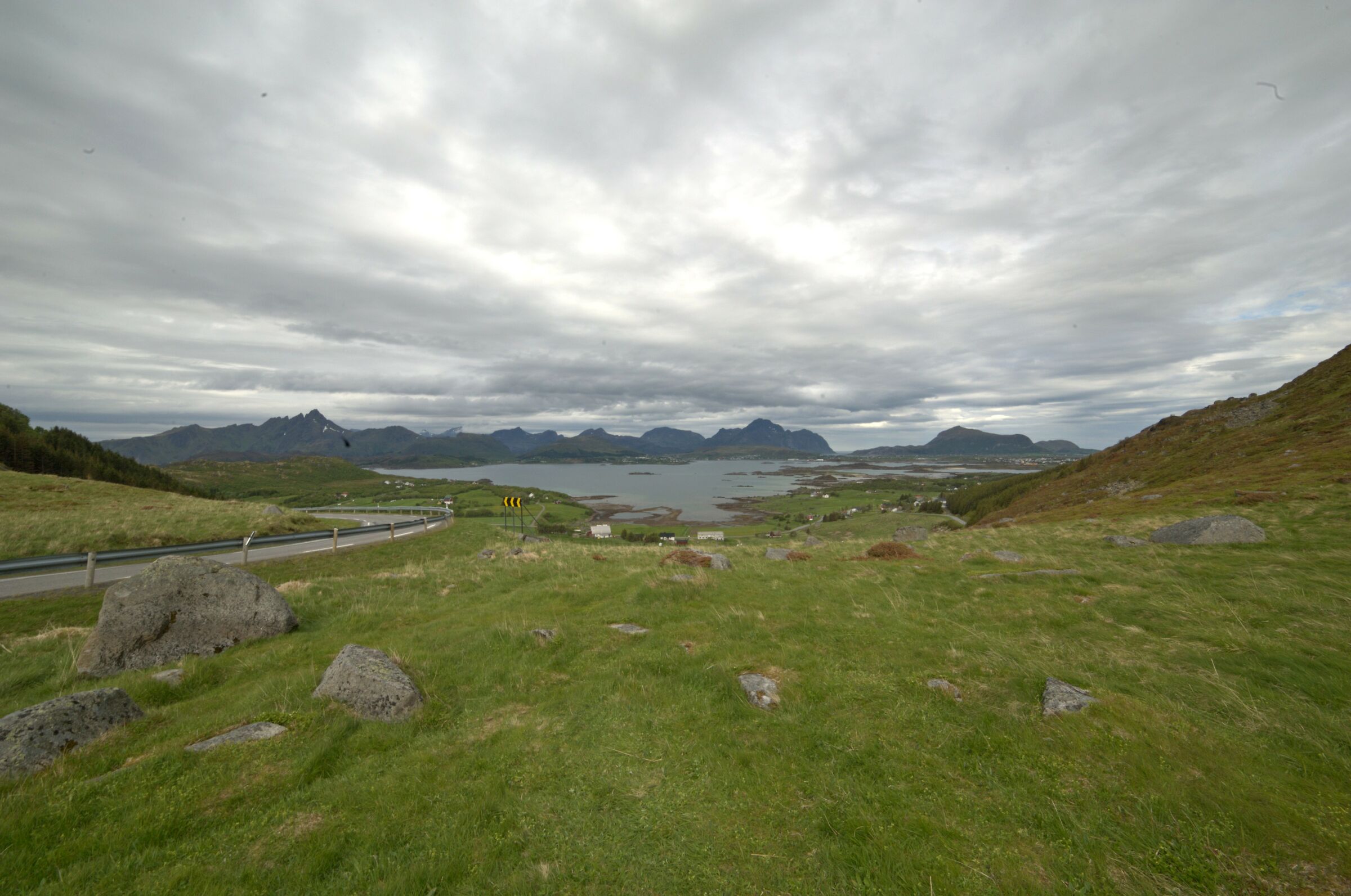 lofoten green
