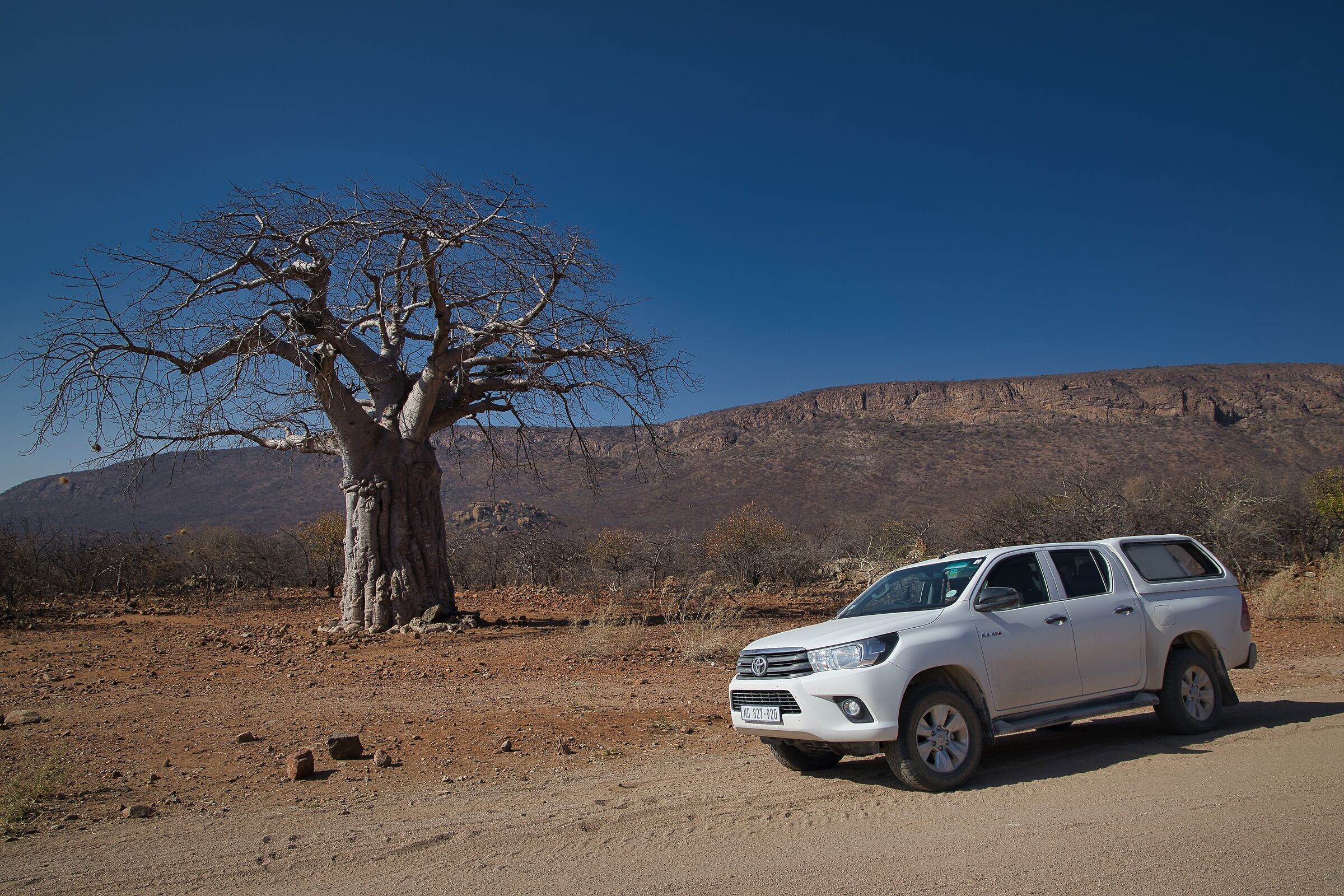 Baobab vs Toyo