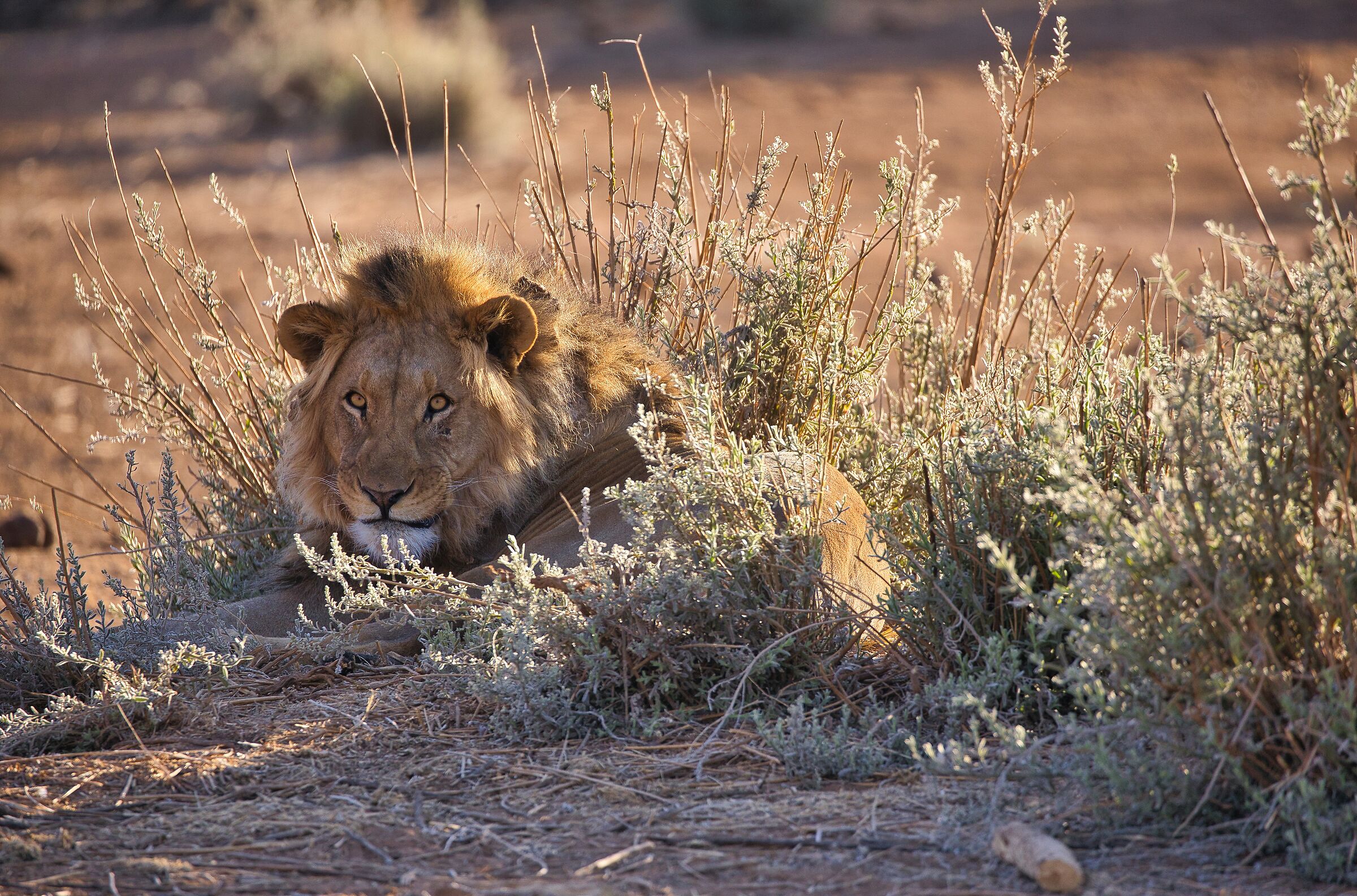 it's all under control