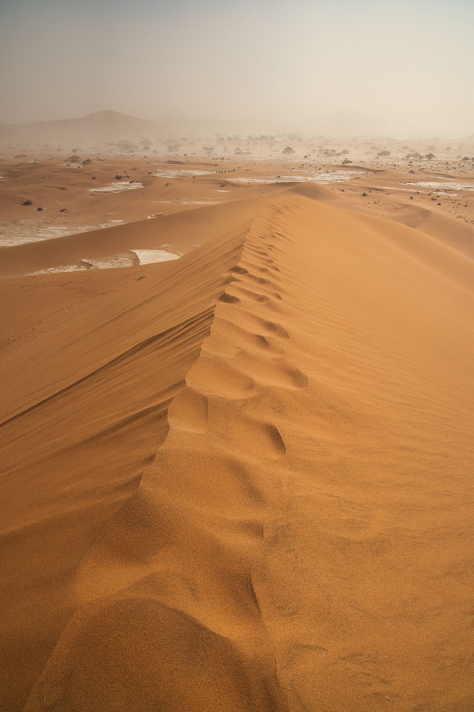 Sulla cima di una duna