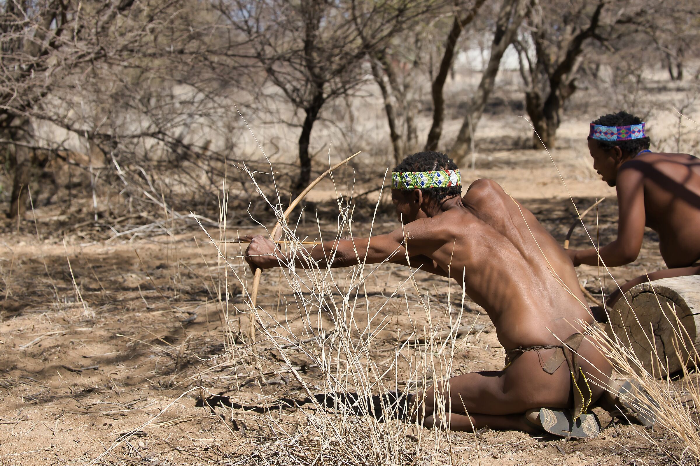 A caccia per sopravvivere