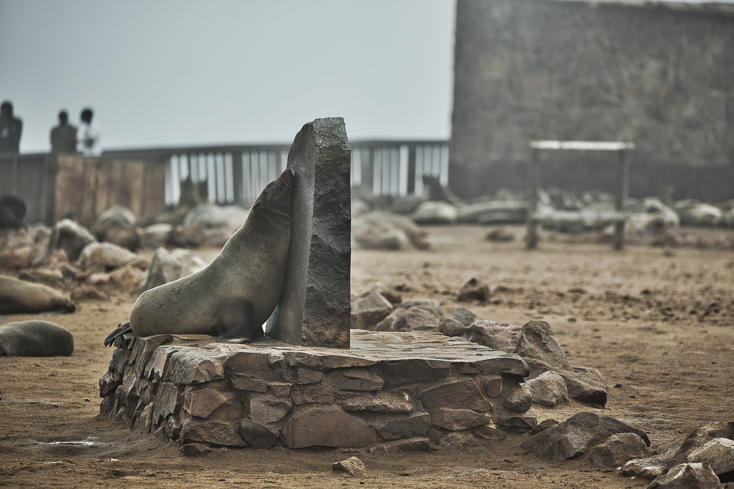 Posizioni comode per dormire