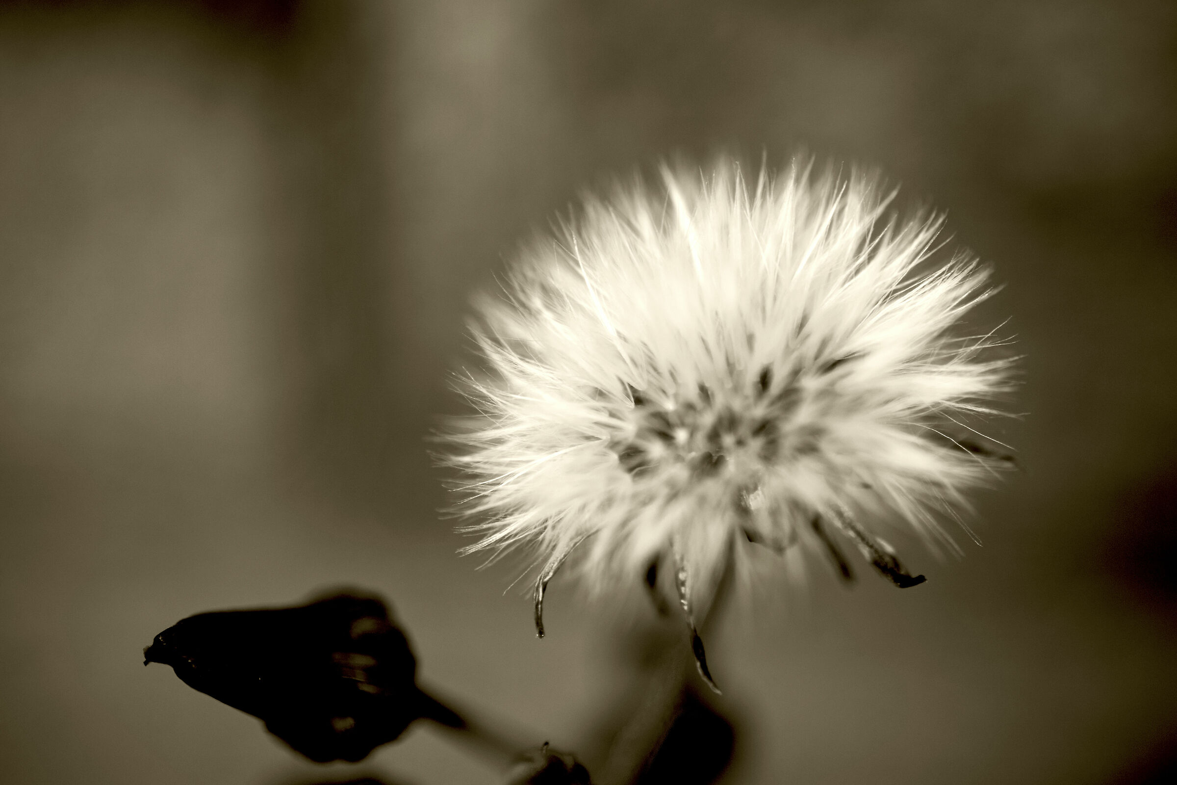 life is a breather