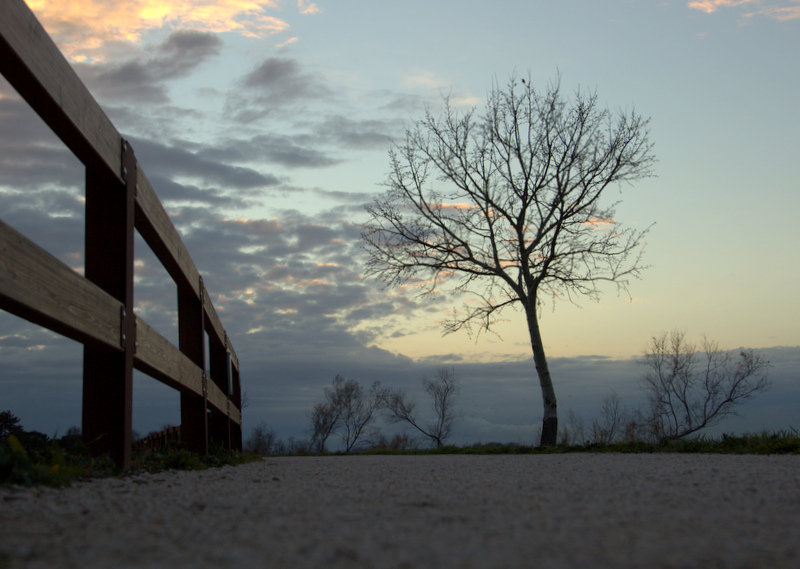 ...  strada facendo ...