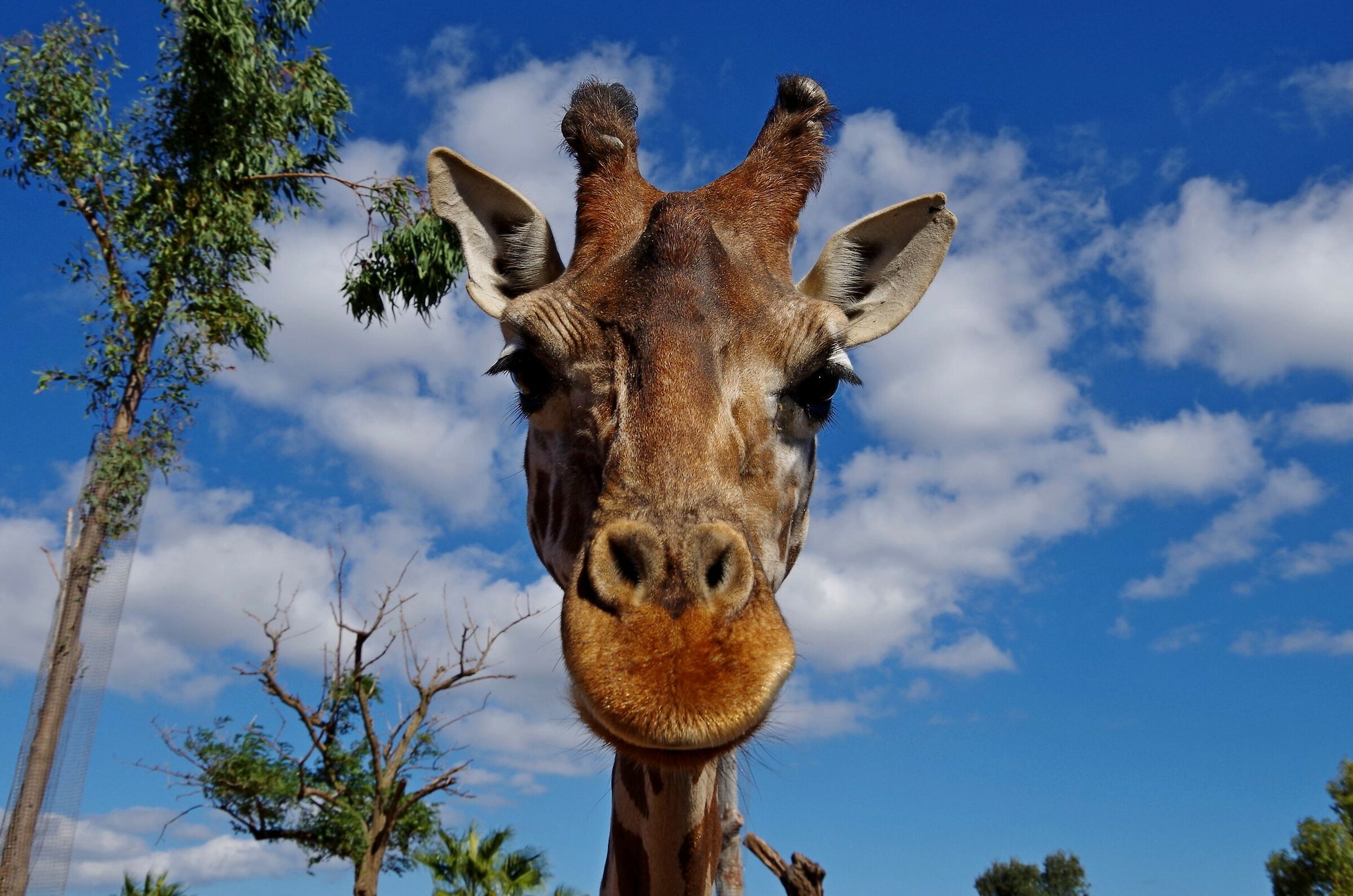 What's in your hand???