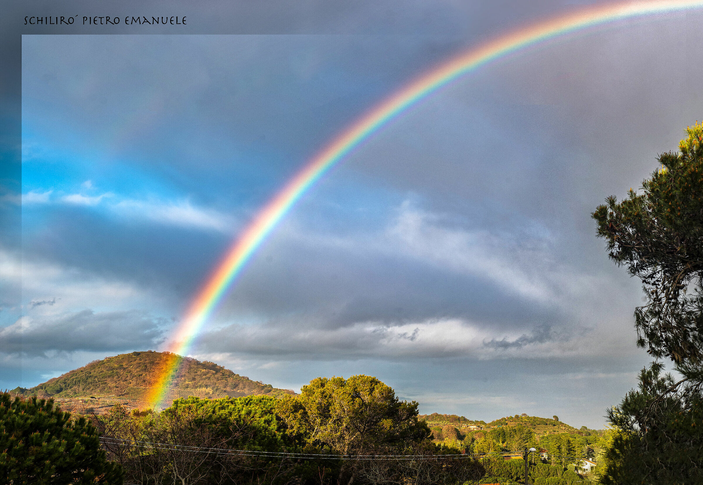 The Holy Alliance Between Heaven and Earth