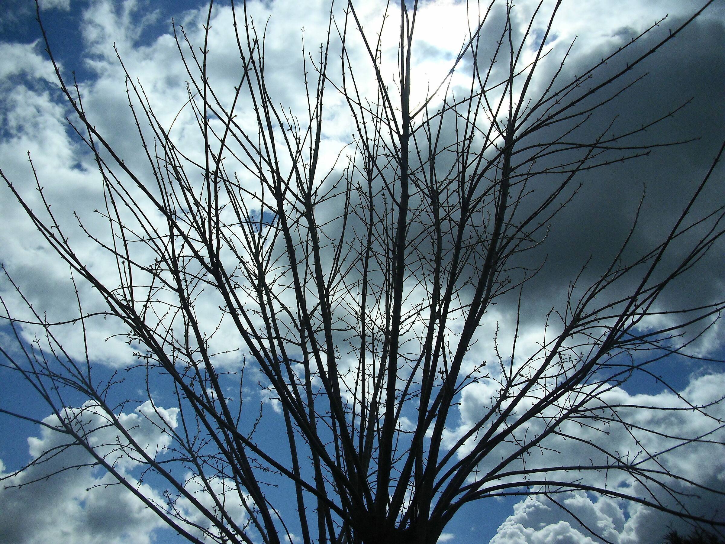 Braccia verso il cielo