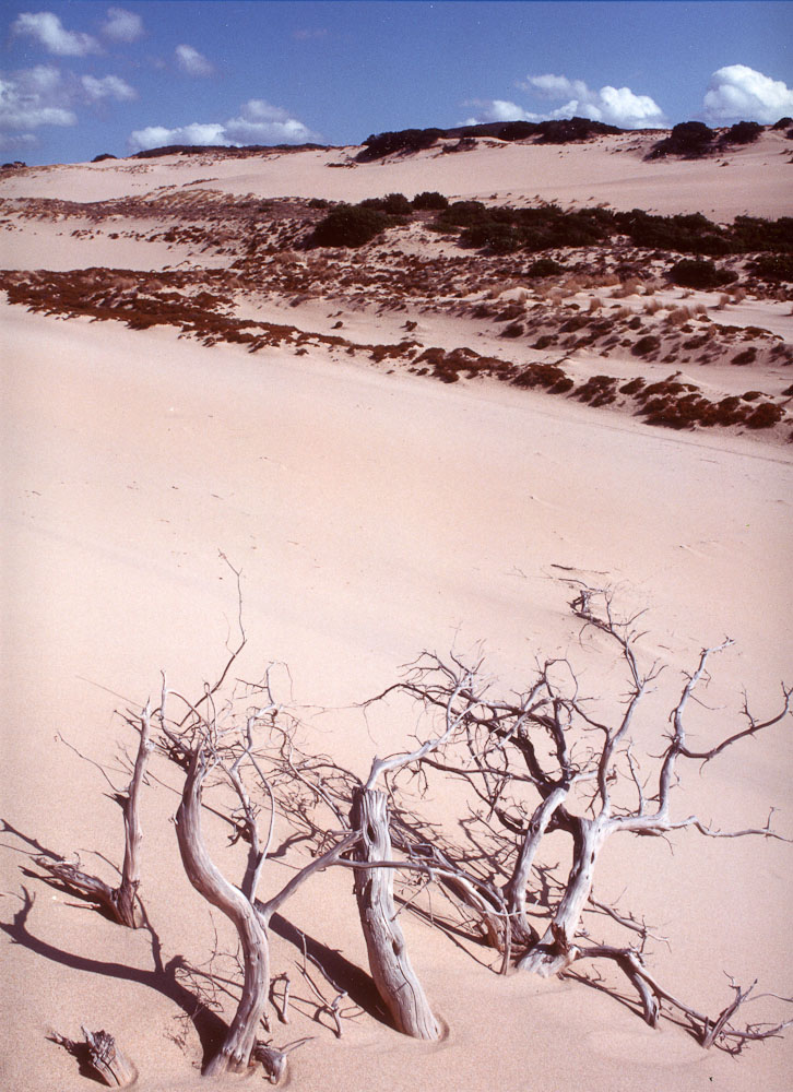 natura in verticale-1