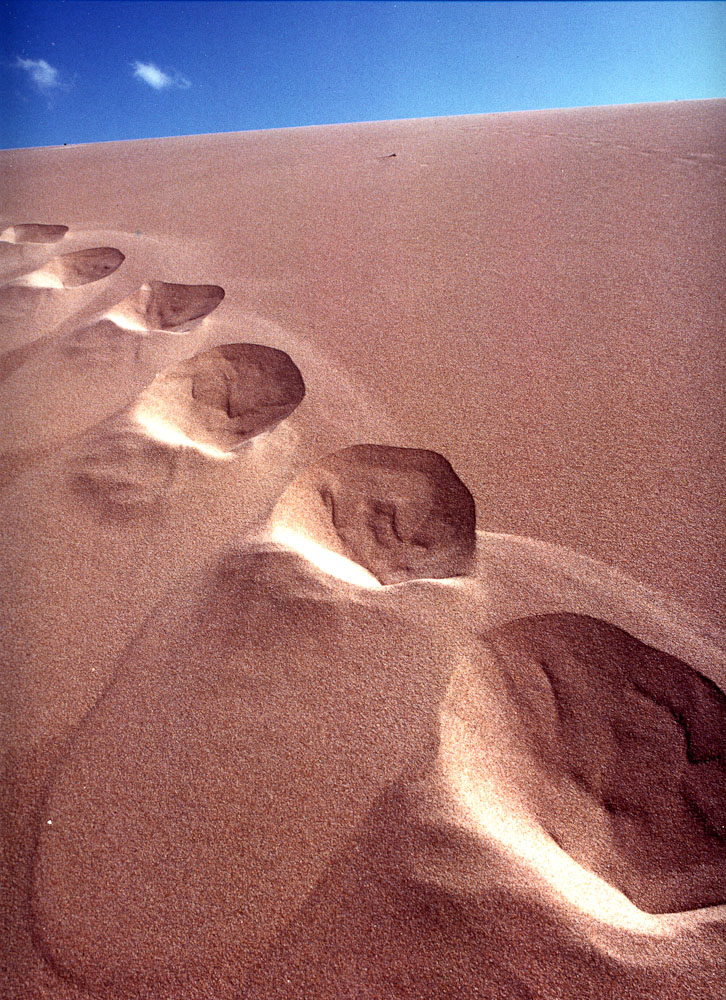 natura in verticale-2