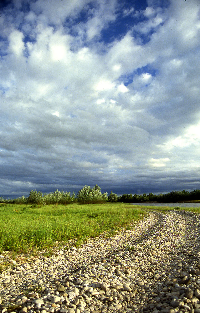 natura in verticale-3