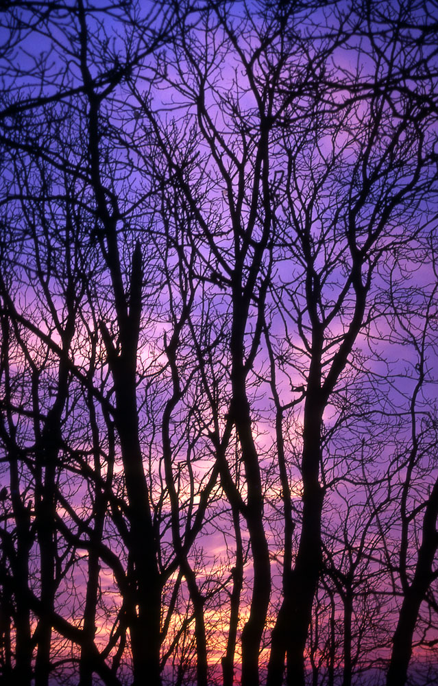 natura in verticale-4