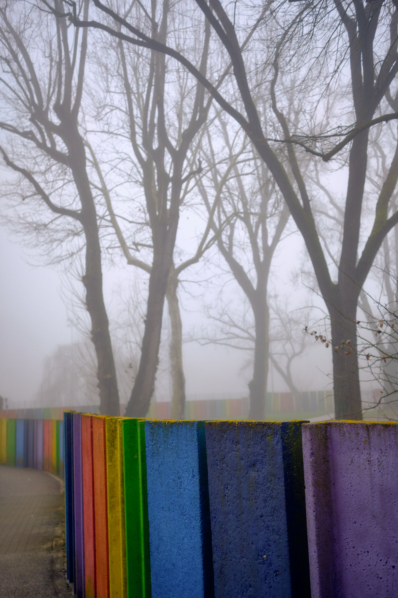 colori nella nebbia