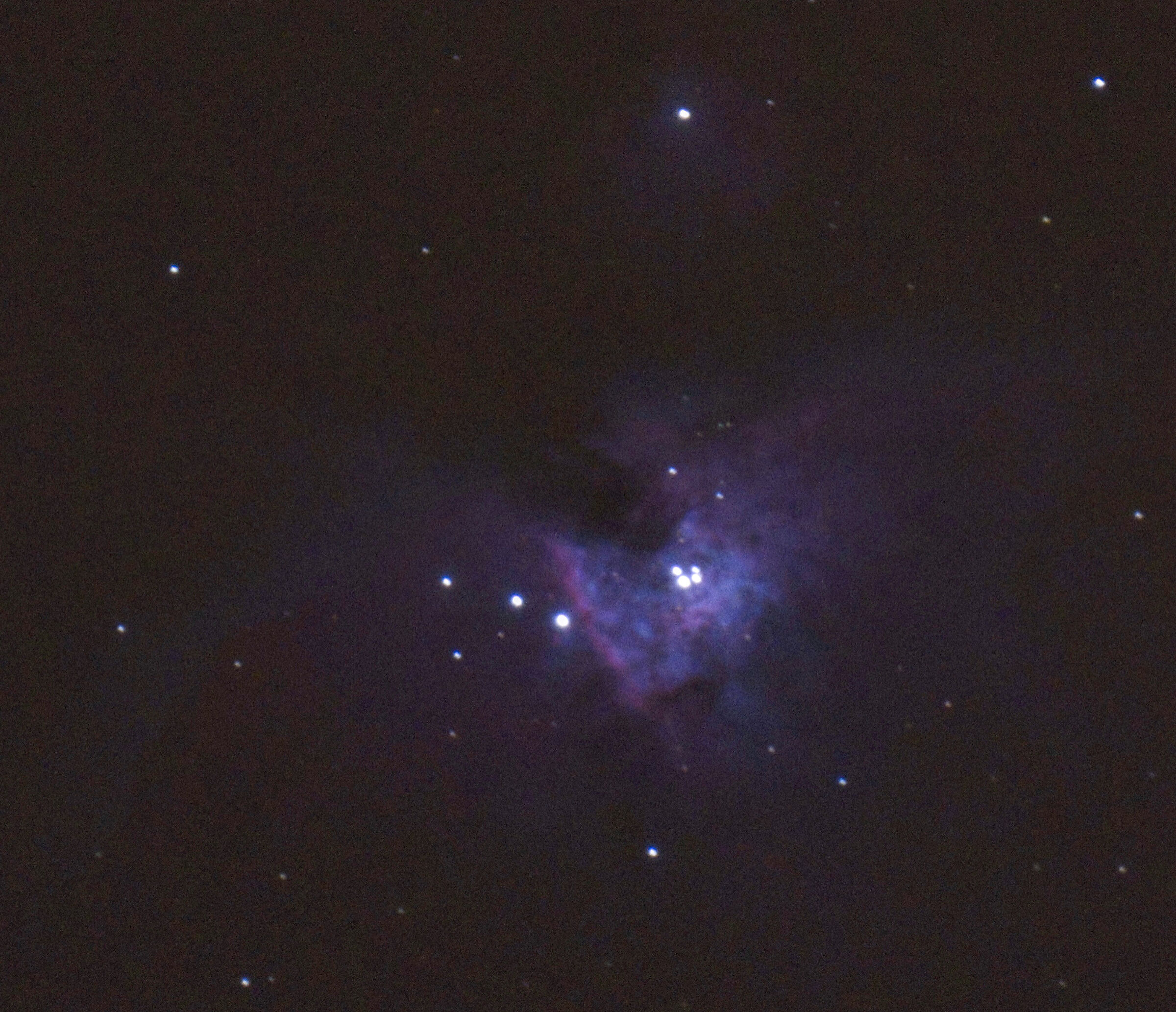 Orion Nebula