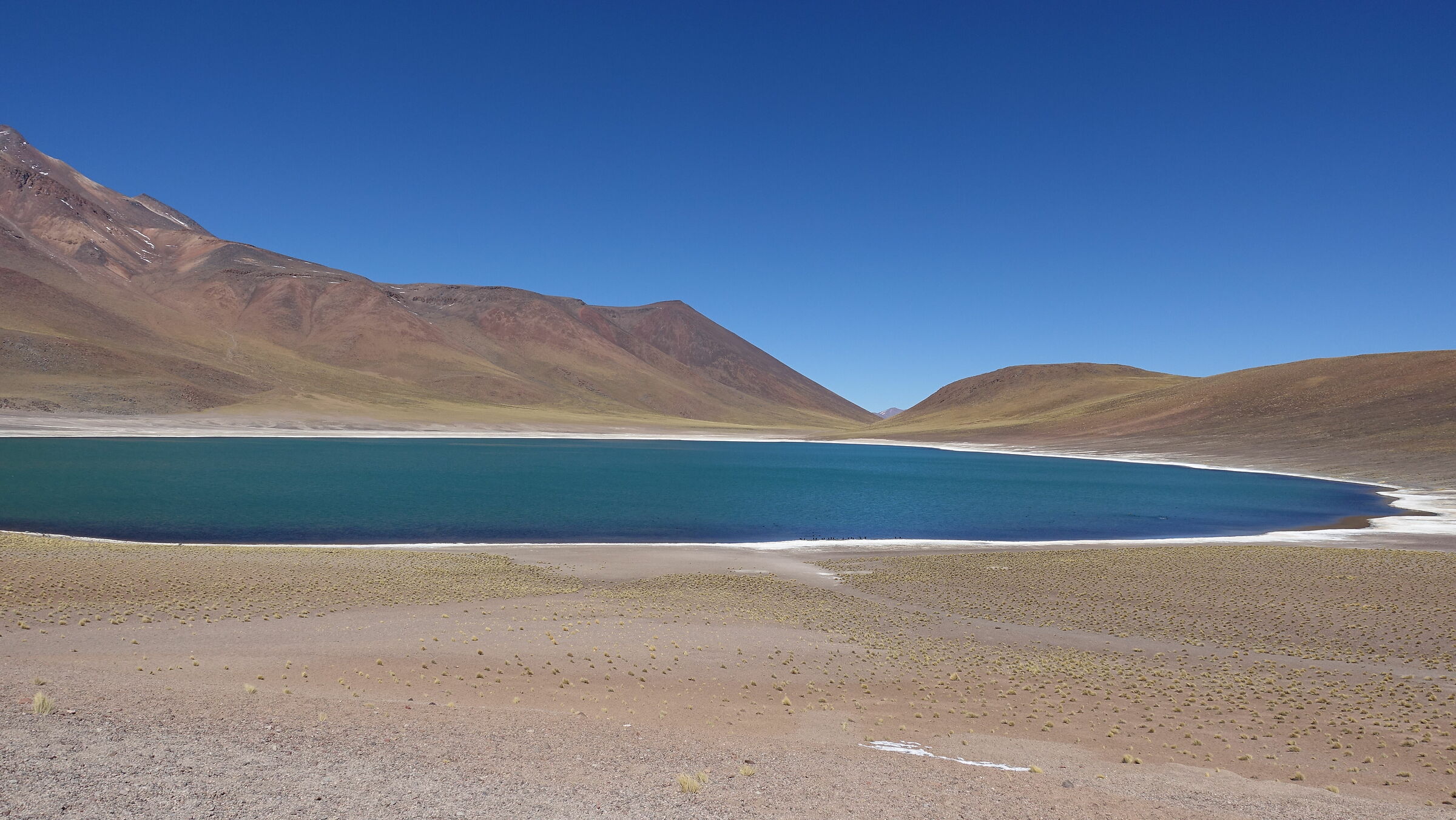 Ricordi di lagune cilene