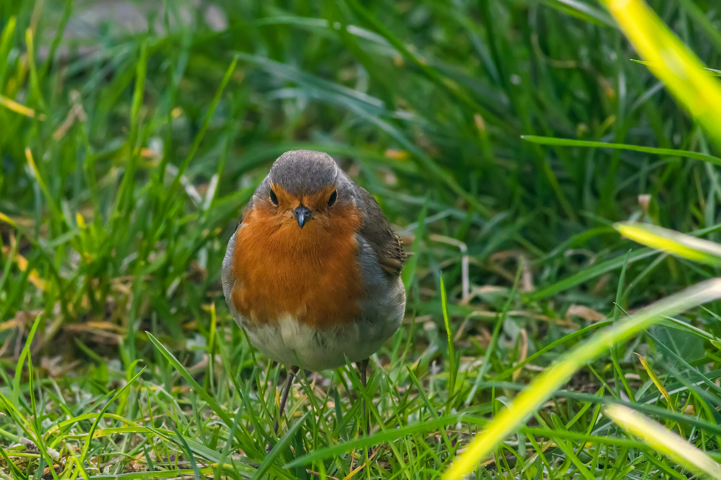 One-on-one with the peter