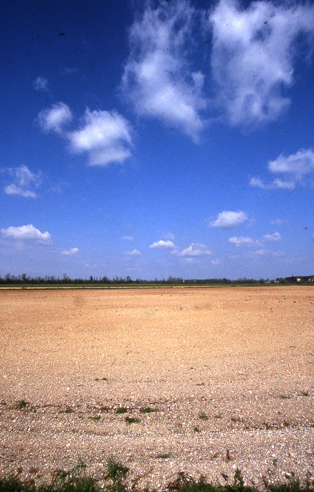 natura in verticale-6