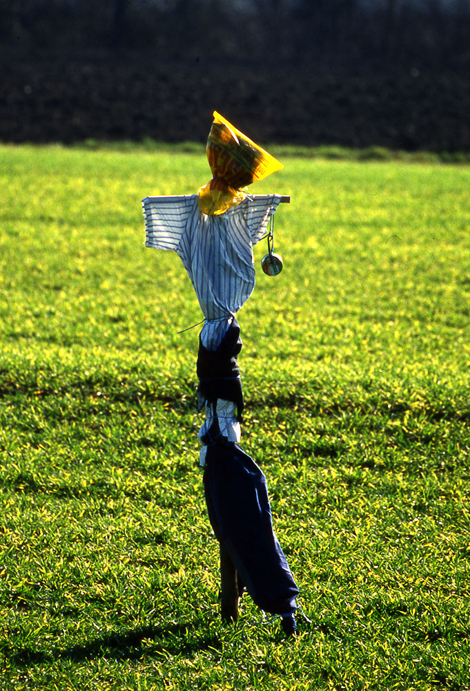 natura in verticale-8