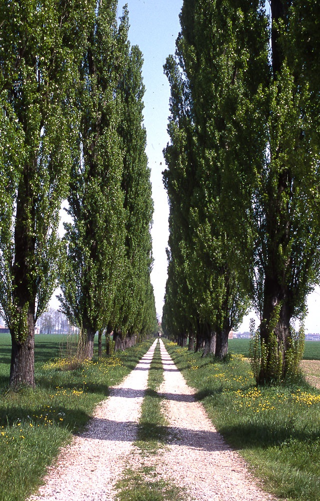 natura in verticale-12