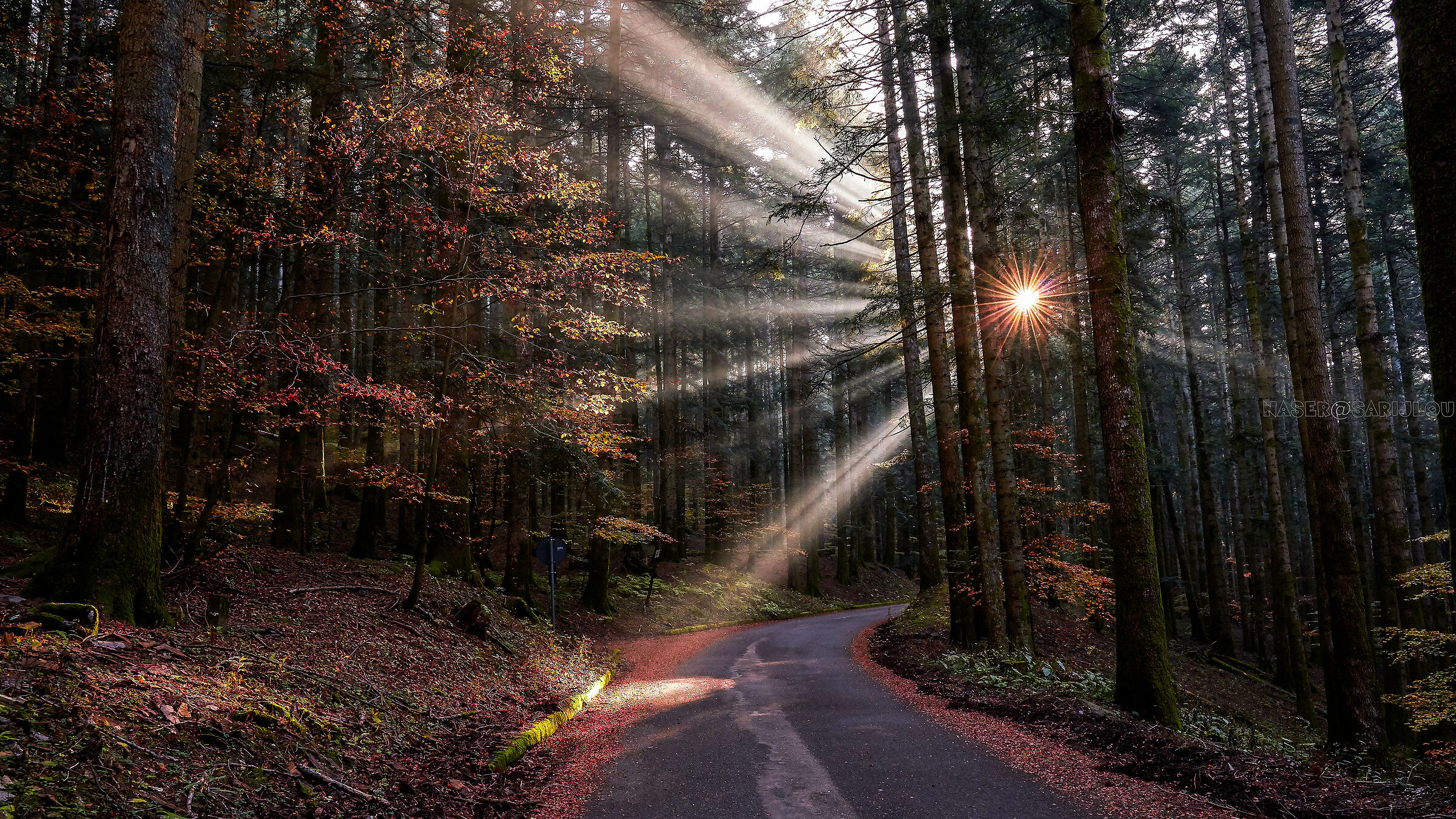 autunno casentinese 1