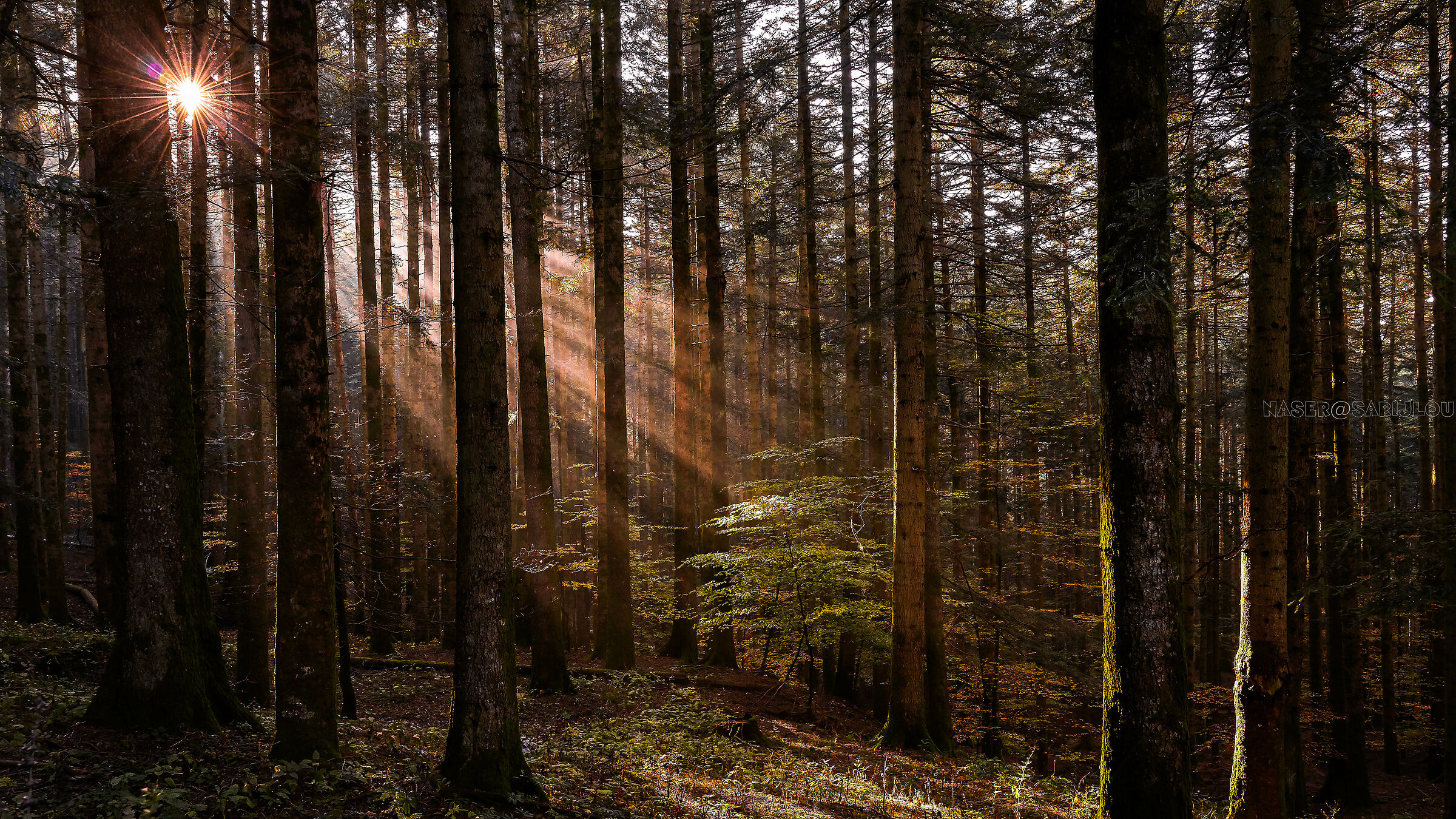 autunno casentinese 2