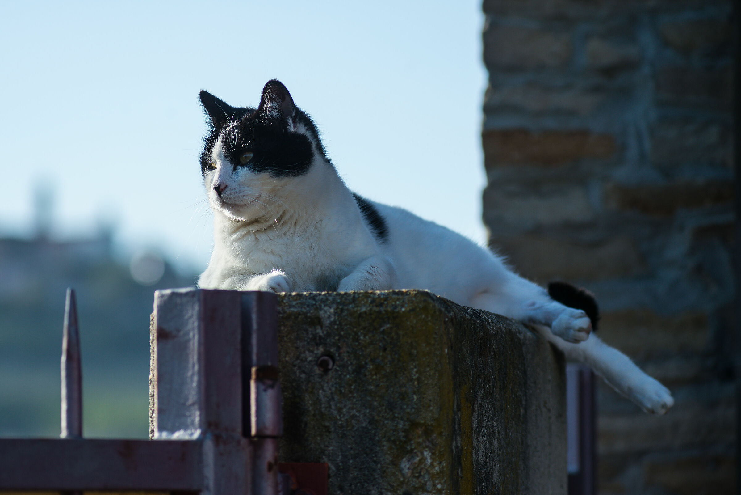 Riposo in posto improbabile