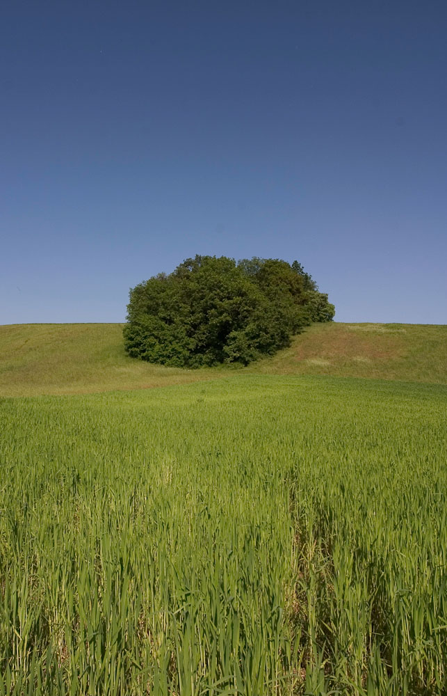 natura in verticale-16