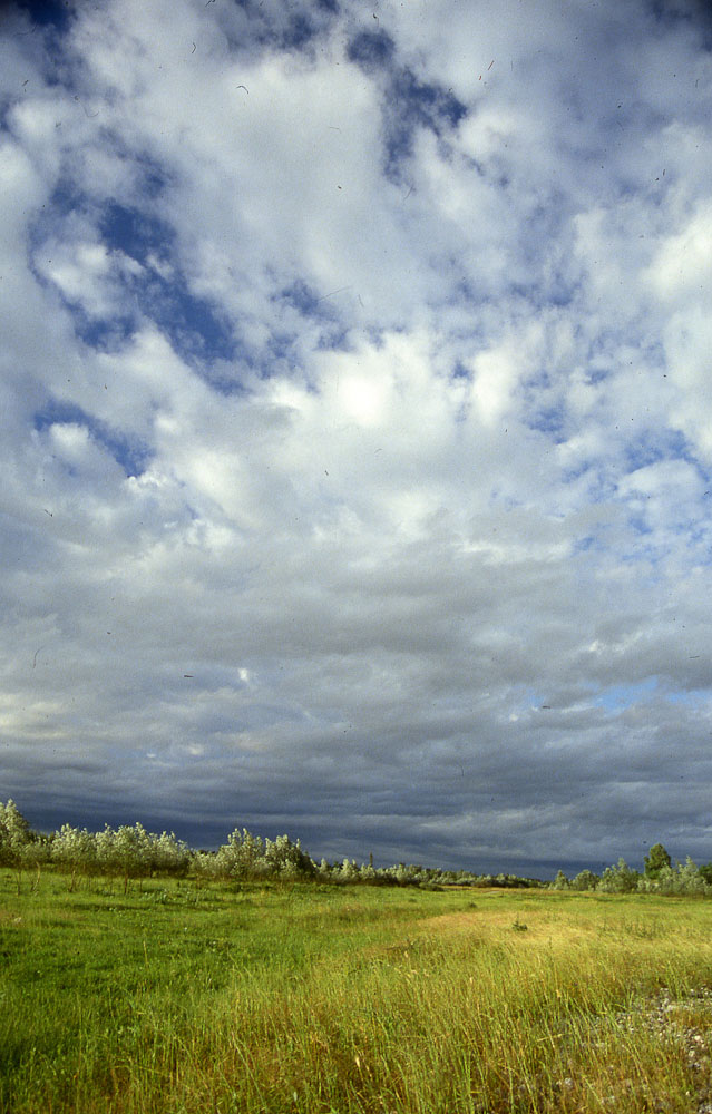 natura in verticale-15