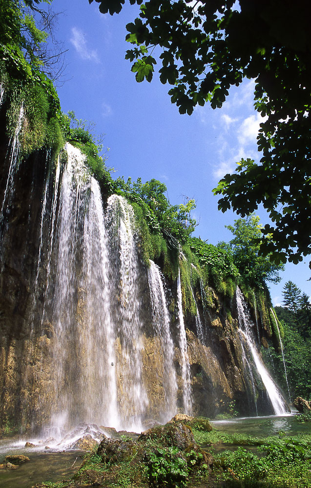 natura in verticale-17