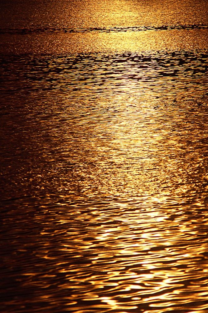 natura in verticale-18