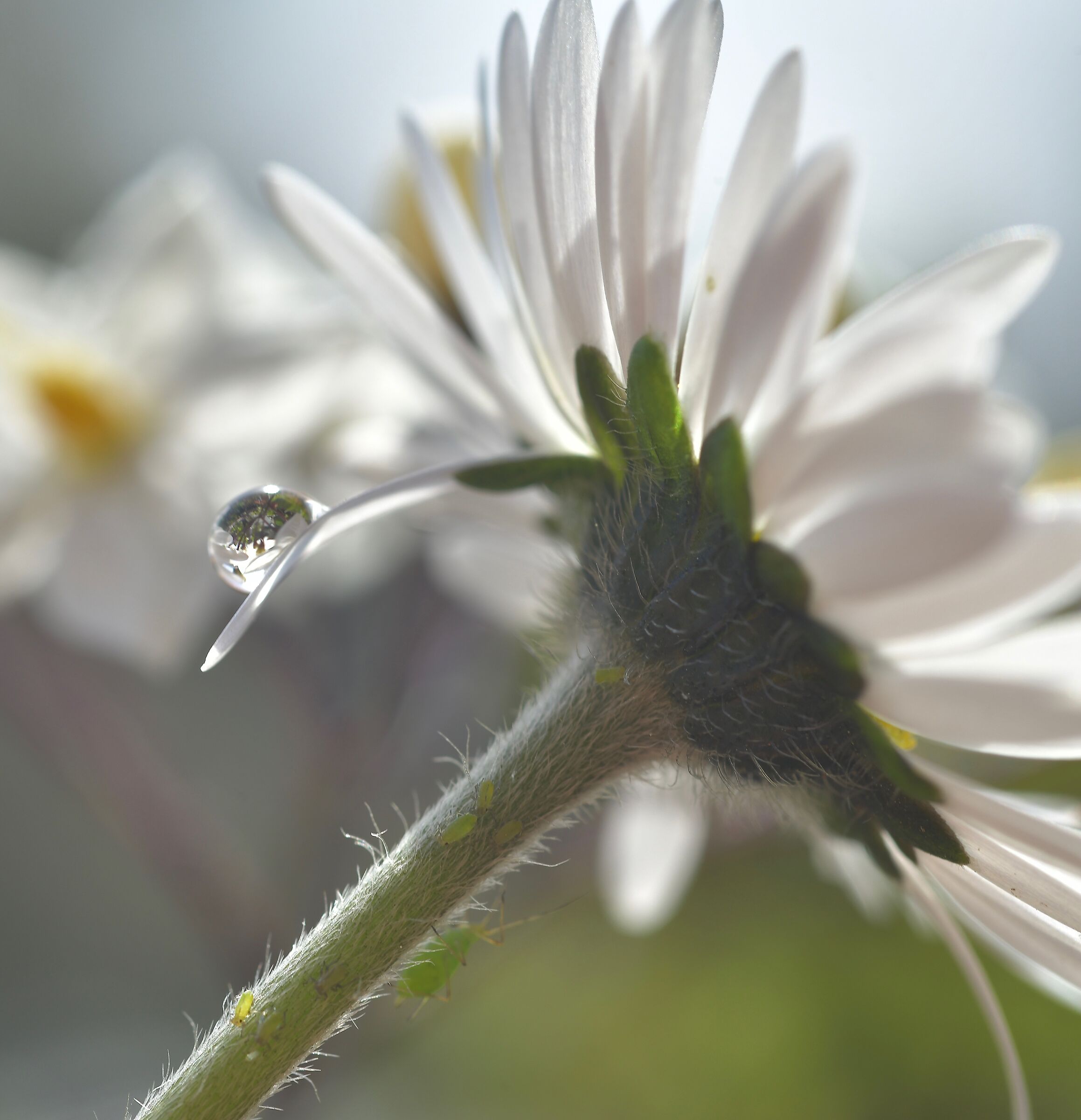 Untitled Photo
