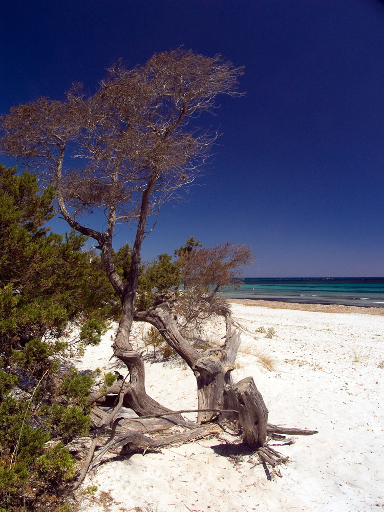 natura in verticale-20