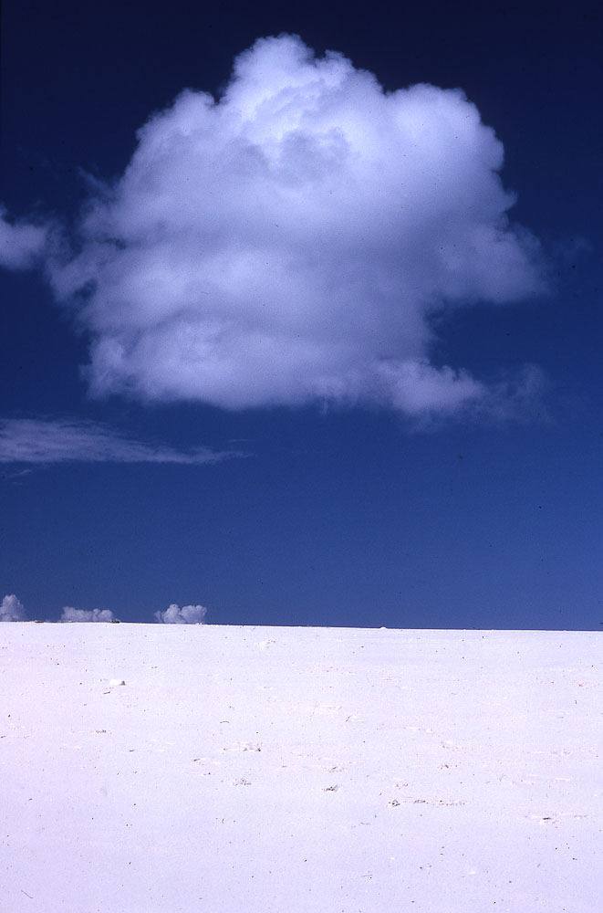 natura in verticale-21